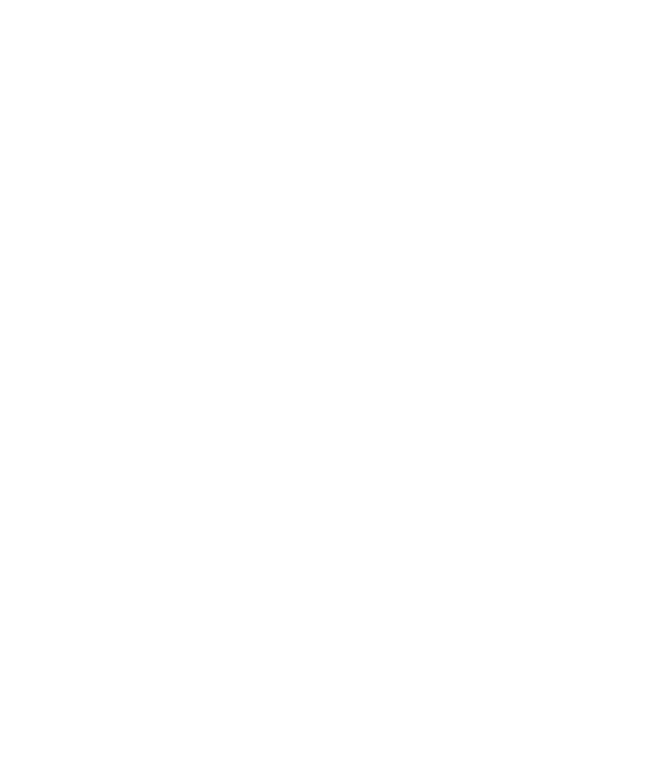 eVs PRO Logo